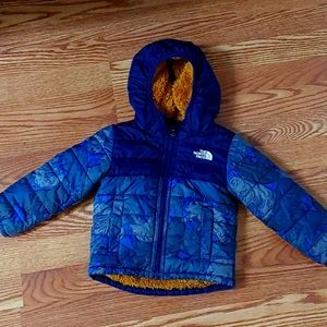 Winter Jacket The North Face